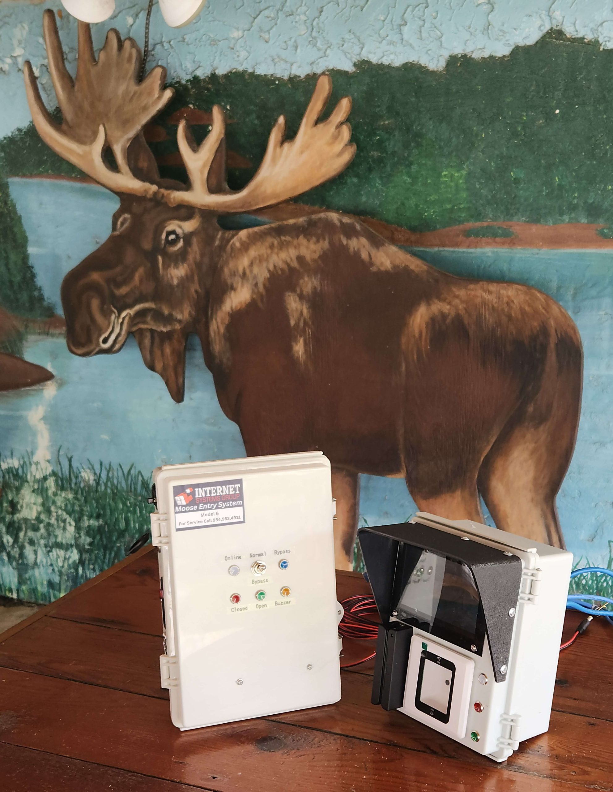 The Moose Lodge Enigma A Dublin Mystery Solved - k4i2j68